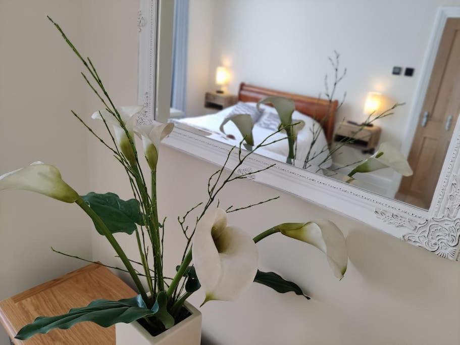 Escape To The Coast In A Luxurious Private Apartment Herne Bay Exteriör bild
